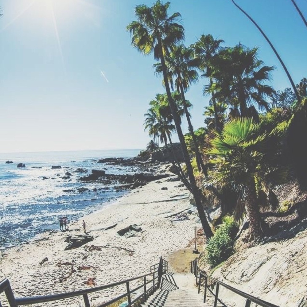 Meet your Posher, Molly